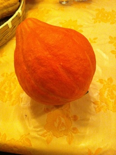 生で食べれるかぼちゃです 